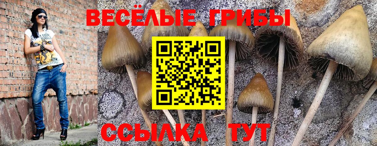 Галлюциногенные грибы прущие грибы Саяногорск